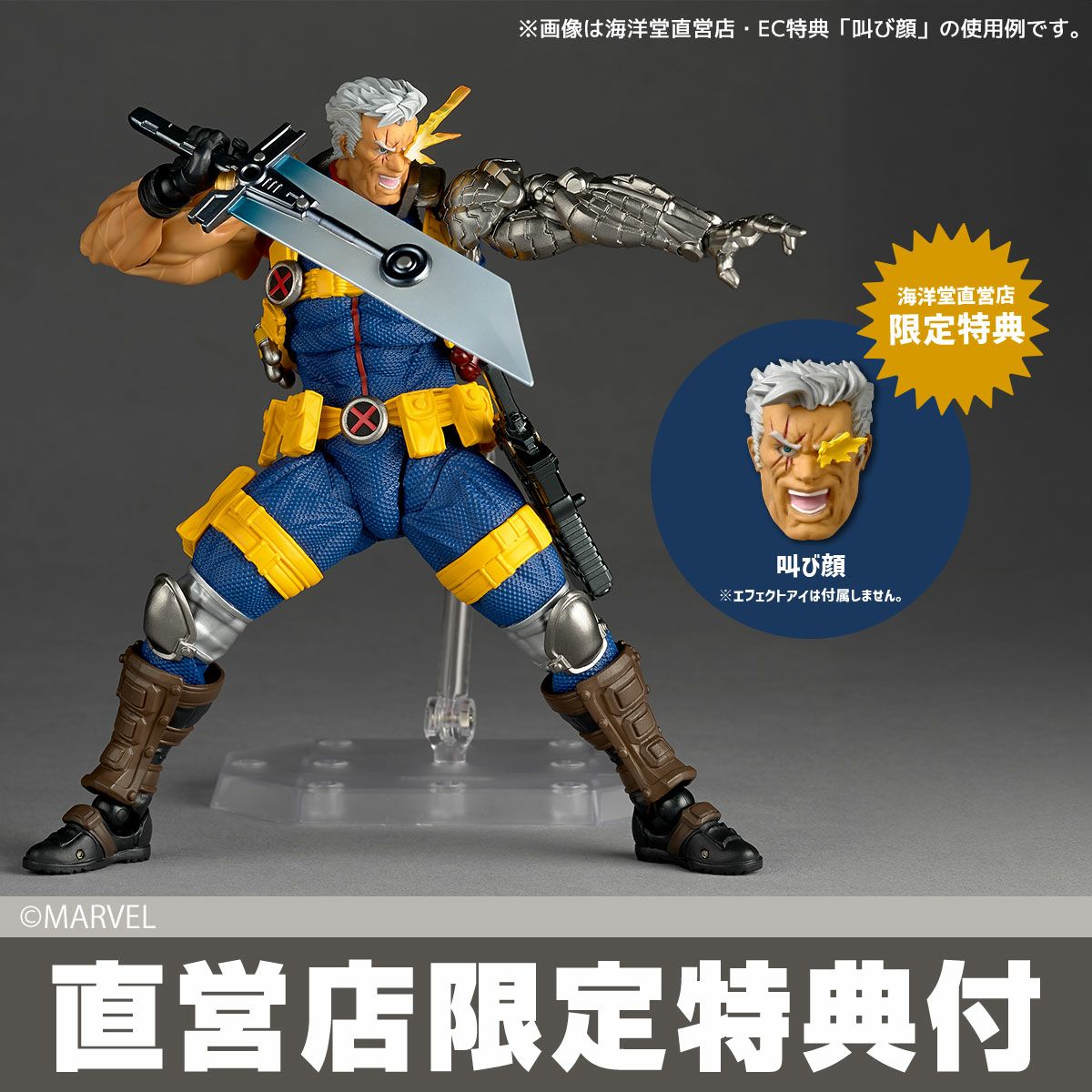 [PRE-ORDER] Kaiyodo Revoltech Amazing Yamaguchi Cable Ver.1.5