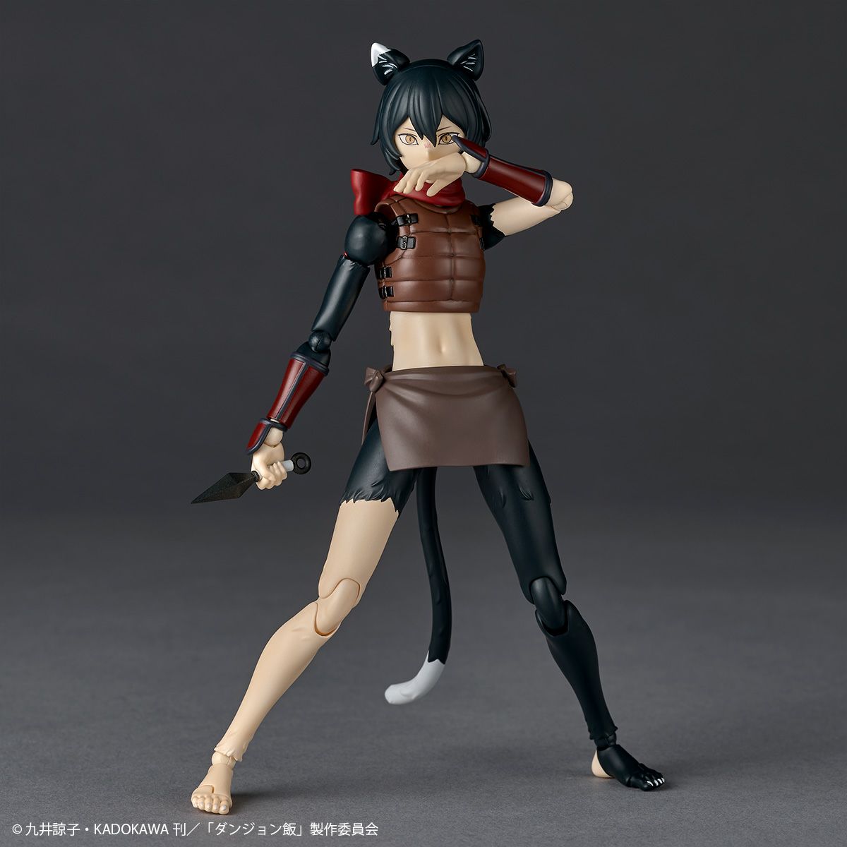 [PRE-ORDER] Delicious in Dungeon Kaiyodo Revoltech Izutsumi