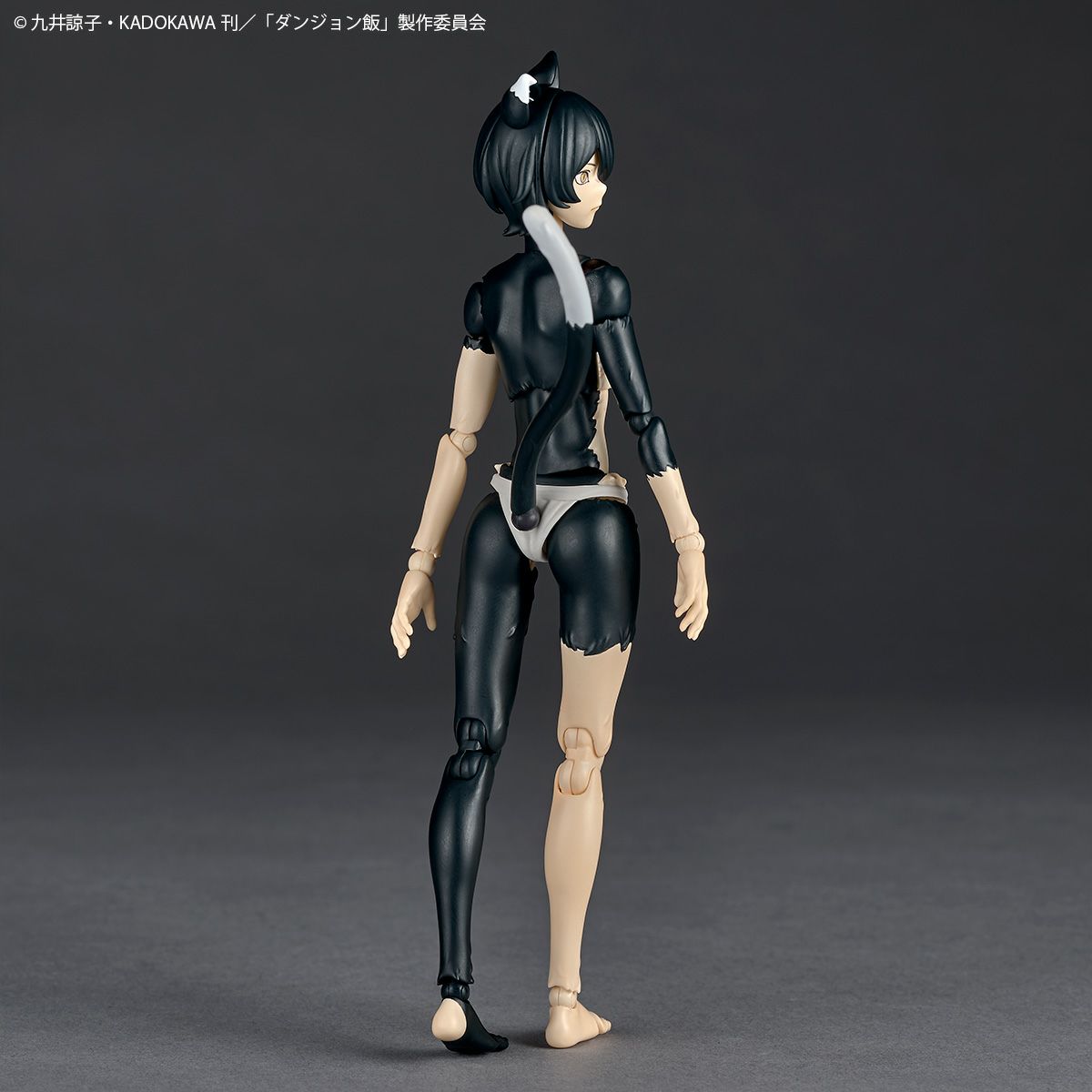 [PRE-ORDER] Delicious in Dungeon Kaiyodo Revoltech Izutsumi