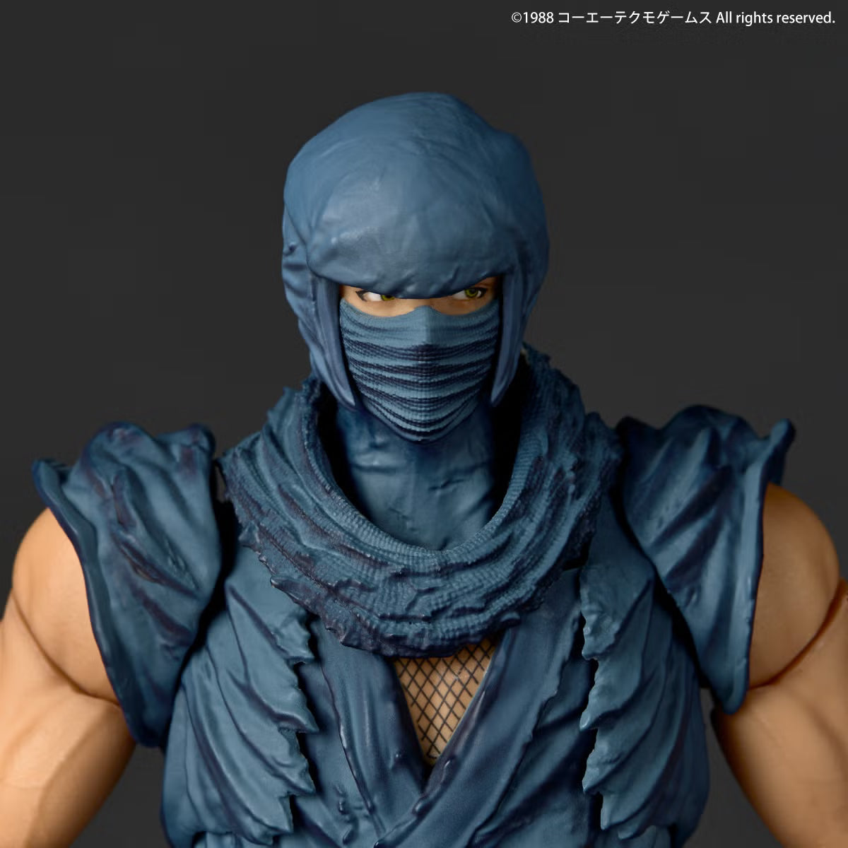 [PRE-ORDER] Revoltech Amazing Yamaguchi Ryu Hayabusa "NINJA GAIDEN" Ver. with Bonus Part