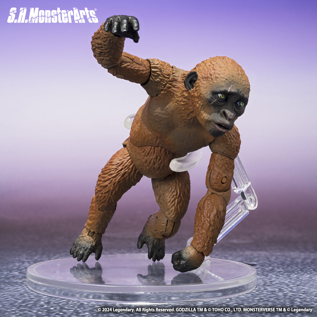 [PRE-ORDER] S.H.MonsterArts SUKO & MOTHRA [2024] FROM GODZILLA x KONG: THE NEW EMPIRE