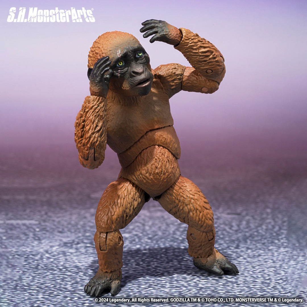 [PRE-ORDER] S.H.MonsterArts SUKO & MOTHRA [2024] FROM GODZILLA x KONG: THE NEW EMPIRE