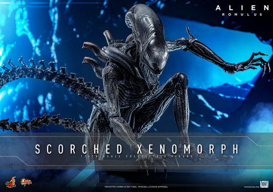 [PRE-ORDER] MMS784 "Alien: Romulus" 1/6th scale Scorched Xenomorph Collectible Figure